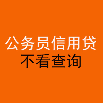 师宗公务员信用贷款